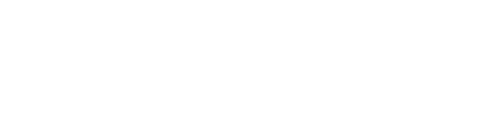 Wonder-services Logo