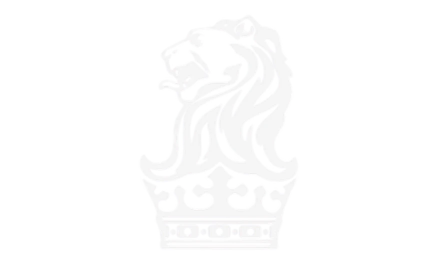 banner-icon